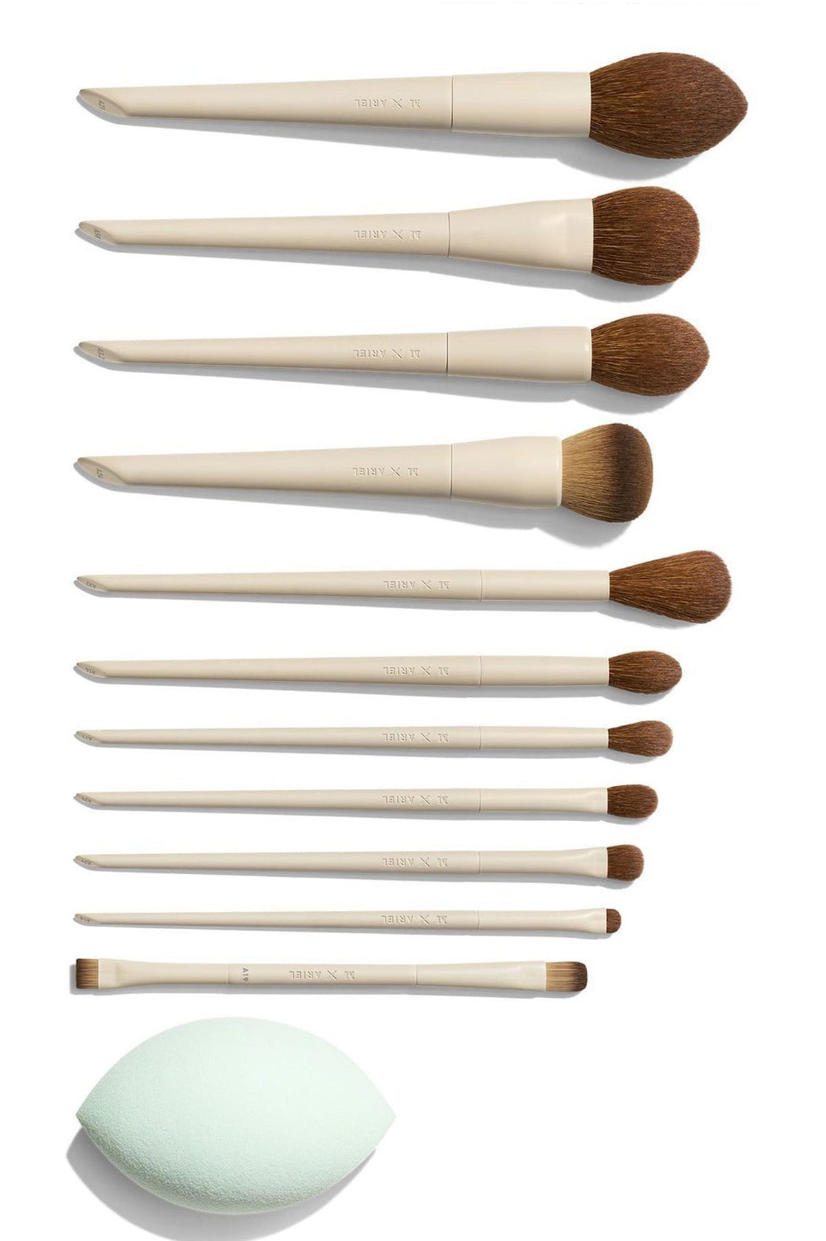 MORPHE 12 PIECE BRUSH SET