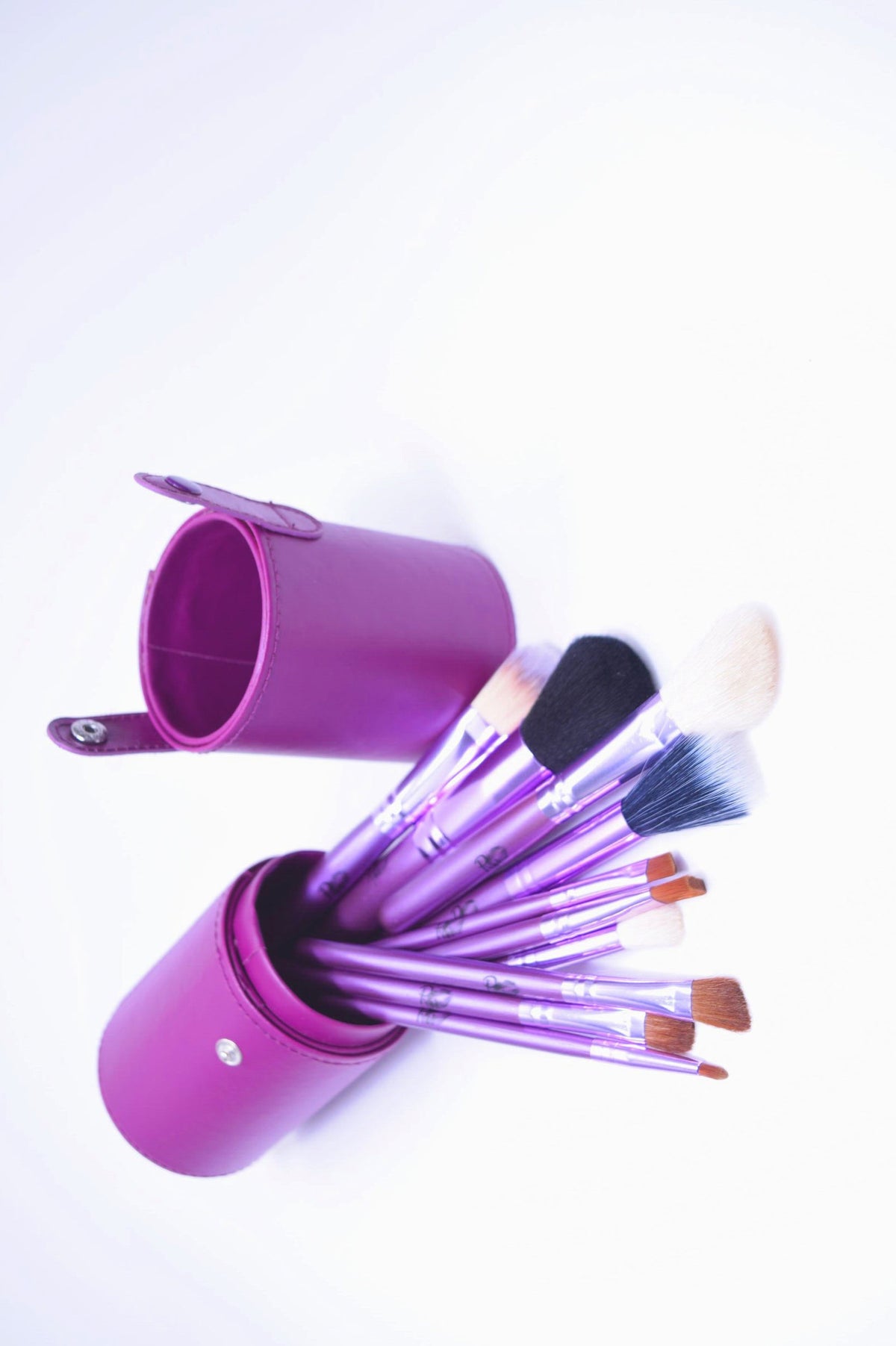 PRETTY WOMEN 12 PIECE BRUSH SET WITH A SLEEK TUBBY